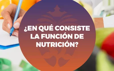 ¿En qué consiste la función de nutrición?