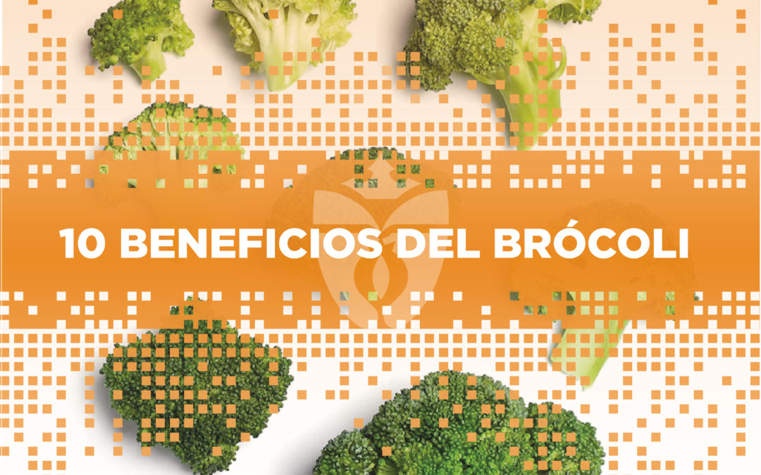 10 Beneficios del brócoli