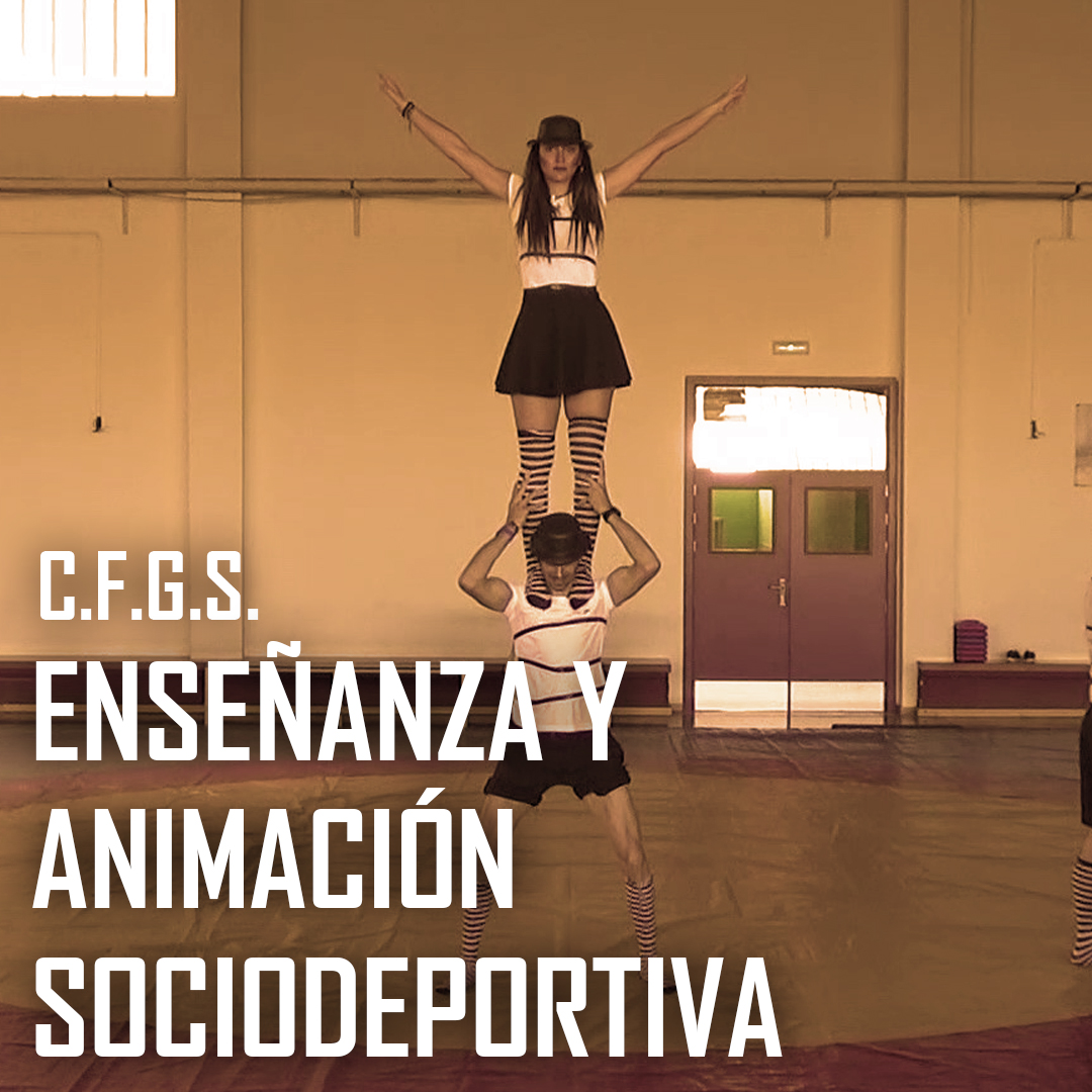 CFGS Enseñanza y Animación sociodeportiva